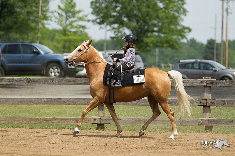 4H-Fun-Show-11_0362.jpg