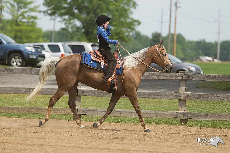 4H-Fun-Show-11_0366.jpg