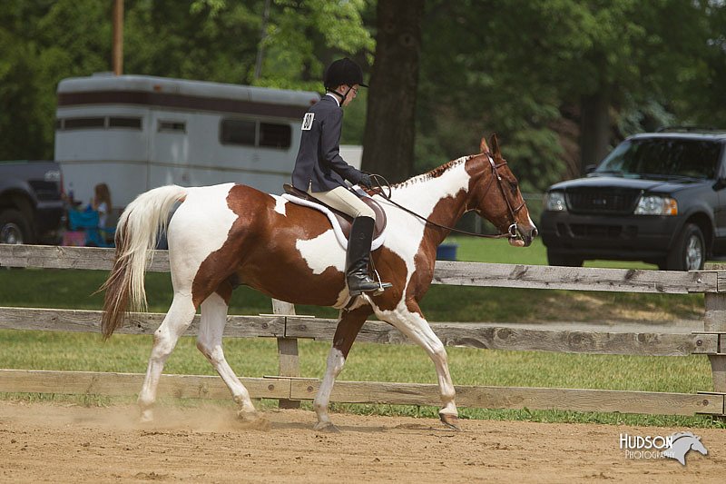 4H-Fun-Show-11_0367.jpg