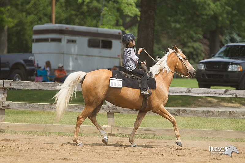 4H-Fun-Show-11_0368.jpg