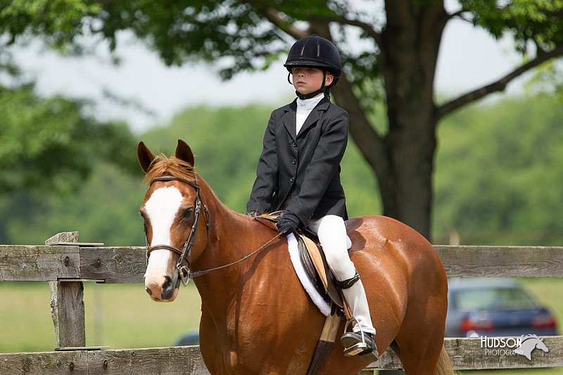 4H-Fun-Show-11_0371.jpg