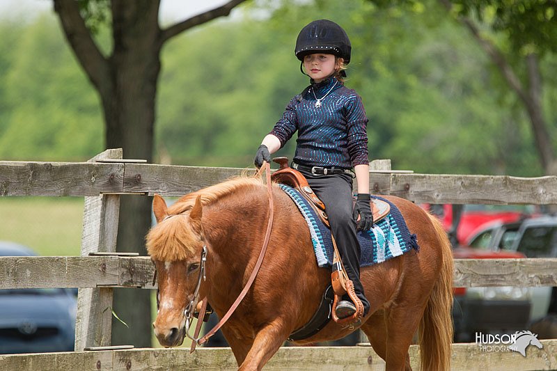 4H-Fun-Show-11_0373.jpg