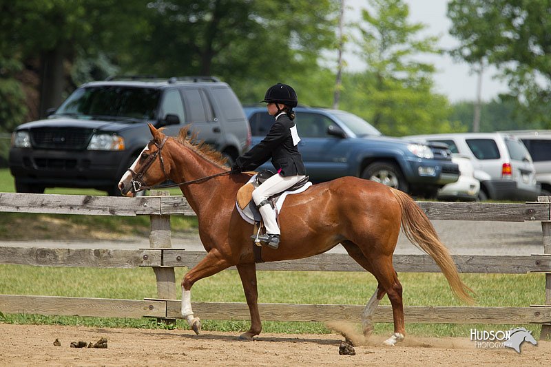4H-Fun-Show-11_0381.jpg