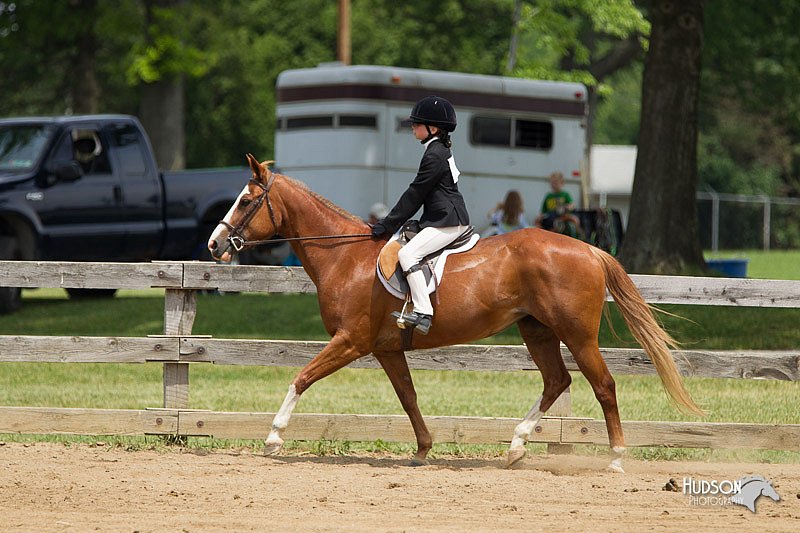 4H-Fun-Show-11_0382.jpg