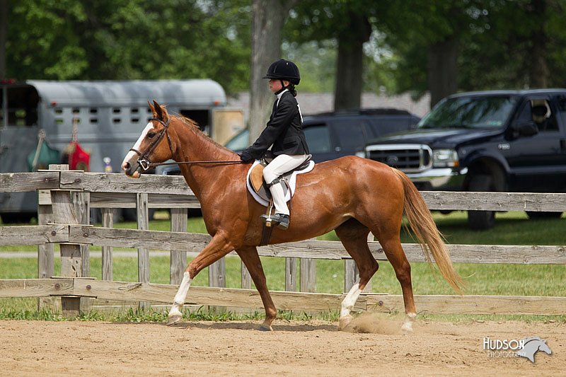 4H-Fun-Show-11_0383.jpg