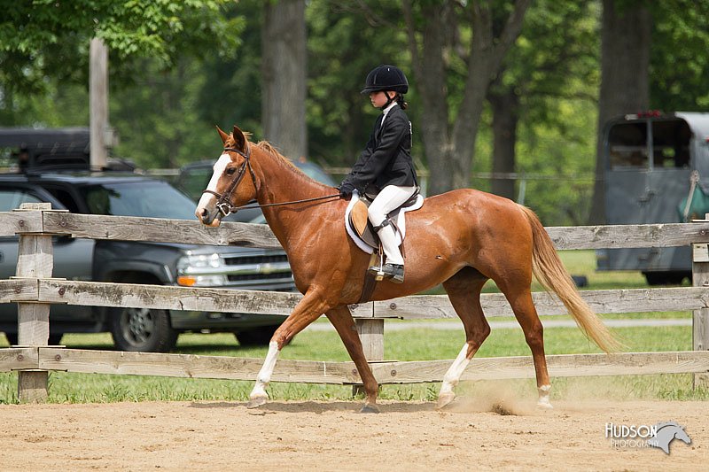 4H-Fun-Show-11_0384.jpg