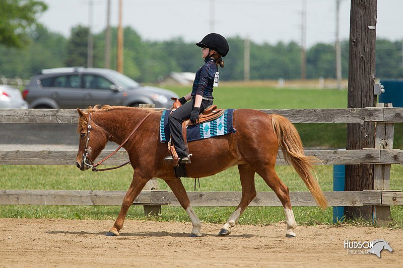 4H-Fun-Show-11_0386.jpg