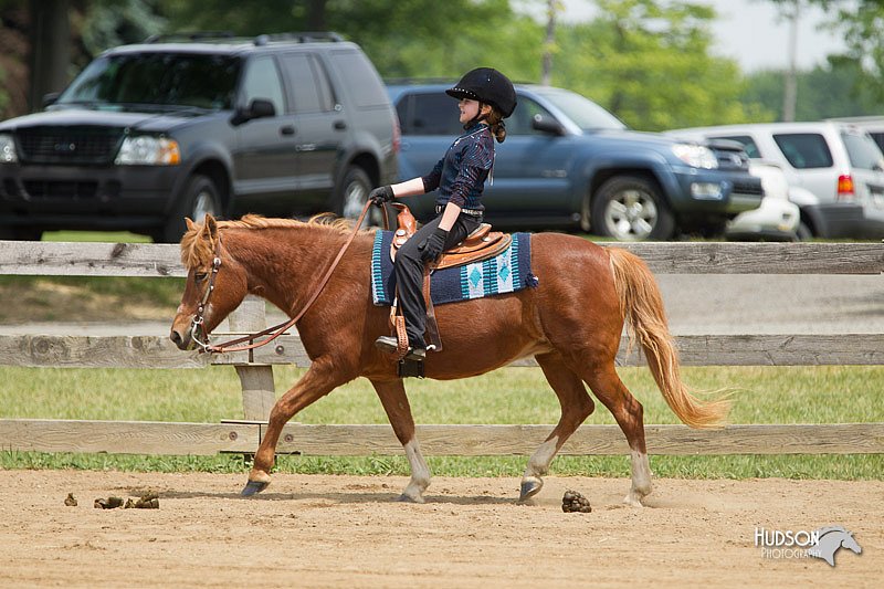 4H-Fun-Show-11_0387.jpg