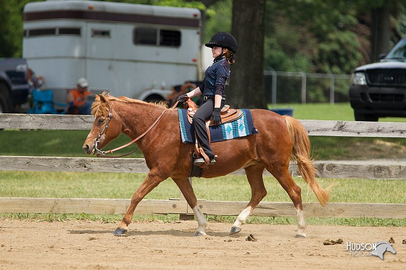 4H-Fun-Show-11_0388.jpg