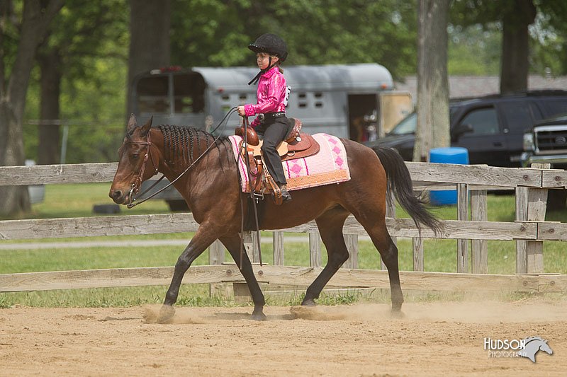 4H-Fun-Show-11_0390.jpg