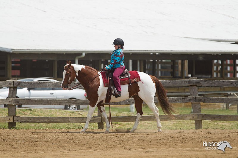 4H-Fun-Show-11_0393.jpg