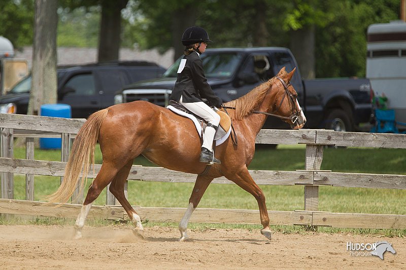 4H-Fun-Show-11_0397.jpg