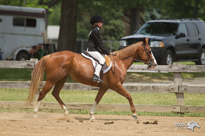 4H-Fun-Show-11_0398.jpg