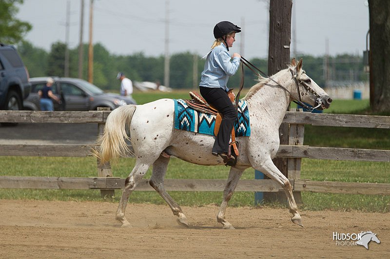 4H-Fun-Show-11_0401.jpg