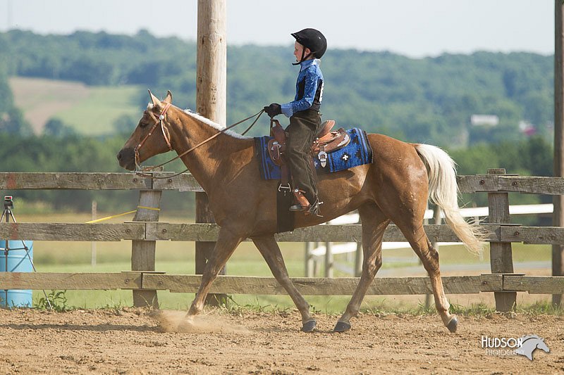 4H-Fun-Show-11_1261.jpg