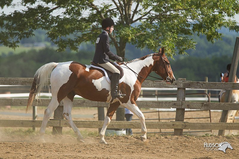 4H-Fun-Show-11_1270.jpg