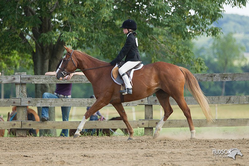 4H-Fun-Show-11_1281.jpg