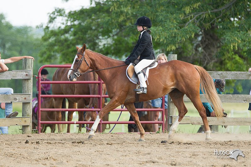 4H-Fun-Show-11_1282.jpg