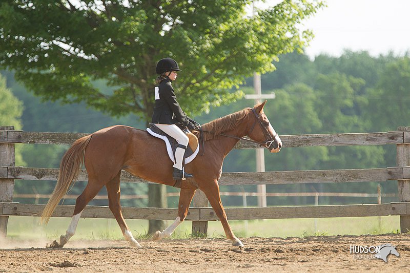 4H-Fun-Show-11_1298.jpg