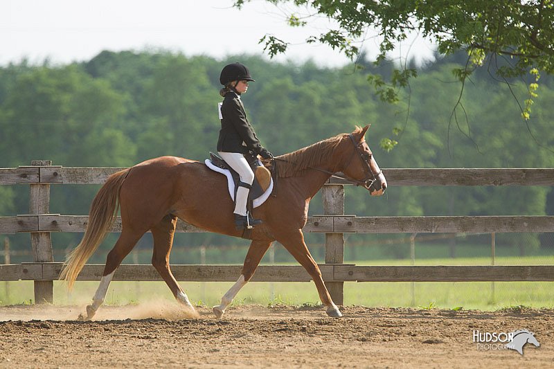 4H-Fun-Show-11_1299.jpg
