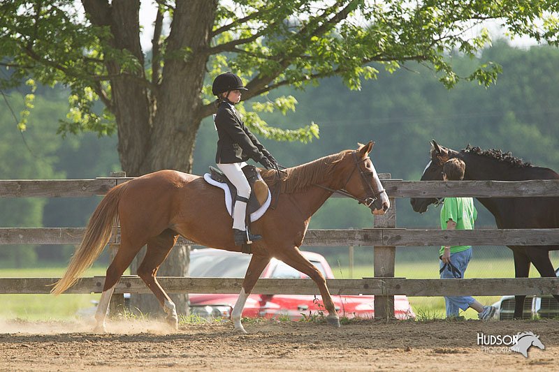 4H-Fun-Show-11_1300.jpg