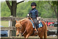 4H-Fun-Show-11_0373.jpg