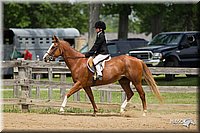 4H-Fun-Show-11_0383.jpg