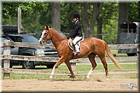 4H-Fun-Show-11_0384.jpg