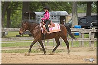 4H-Fun-Show-11_0390.jpg