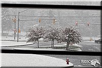 4H-State-SH-11_0789.JPG