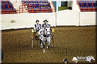 4H-State-SH-11_0024.JPG