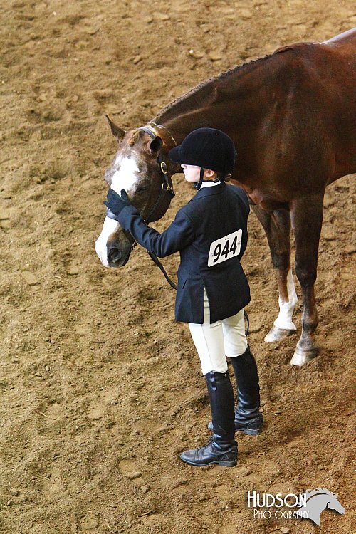 4H-State-SH-11_1307.JPG