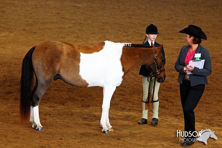 4H-State-SH-11_1274.JPG