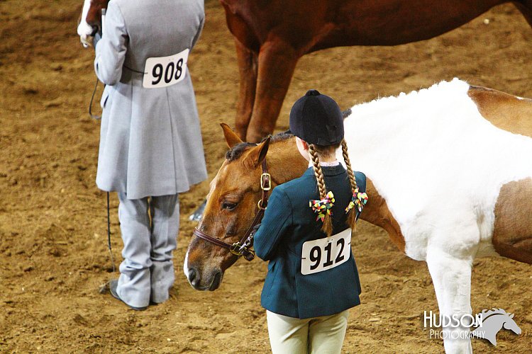 4H-State-SH-11_1304.JPG