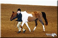 4H-State-SH-11_1268.JPG