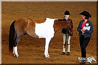 4H-State-SH-11_1274.JPG