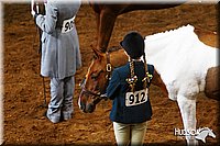 4H-State-SH-11_1303.JPG