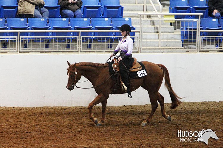 4H-State-SH-11_0810.JPG
