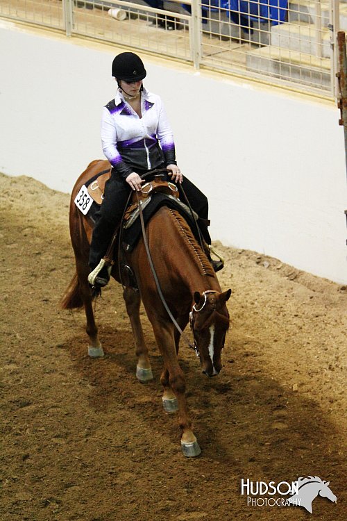 4H-State-SH-11_0826.JPG