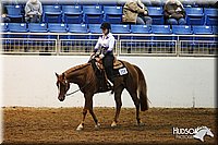 4H-State-SH-11_0805.JPG