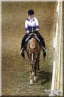 4H-State-SH-11_0814.JPG