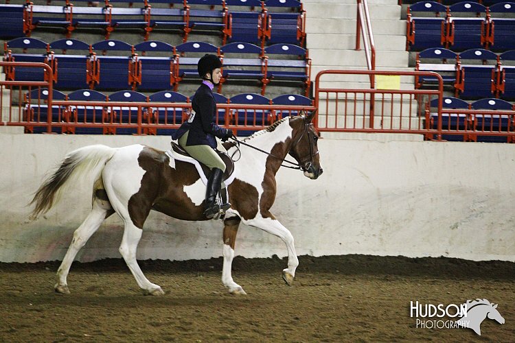 4H-State-SH-11_1112.JPG