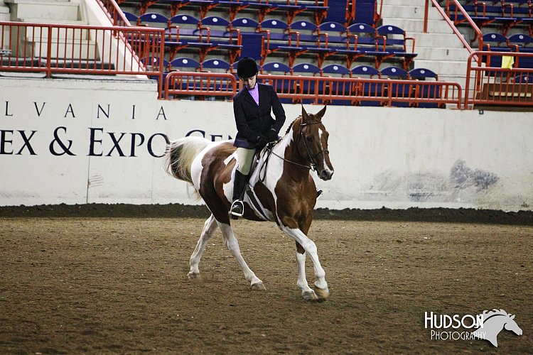 4H-State-SH-11_1116.JPG