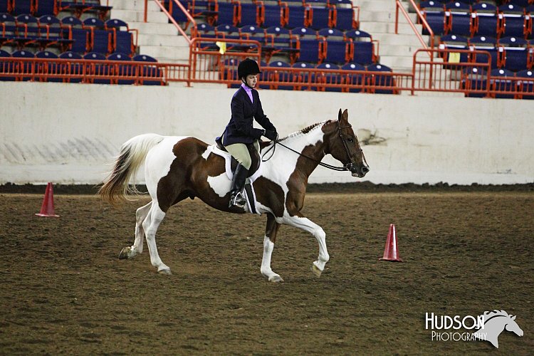 4H-State-SH-11_1117.JPG