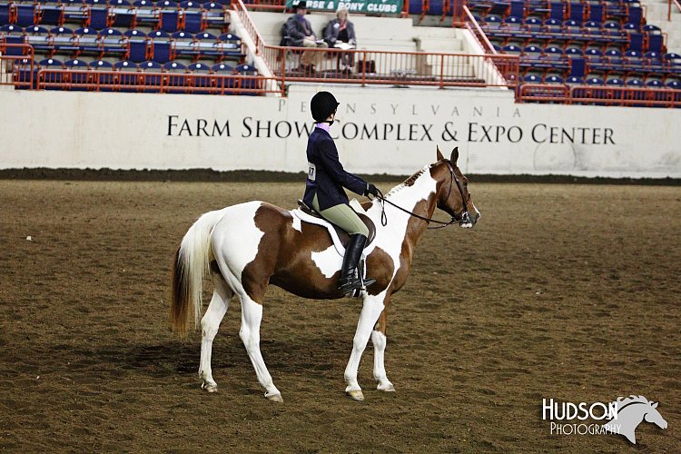 4H-State-SH-11_1126.JPG