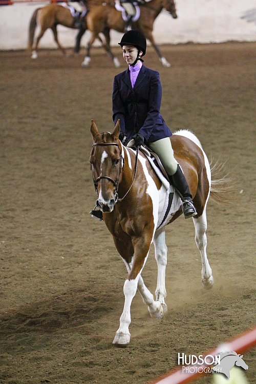 4H-State-SH-11_1142.JPG