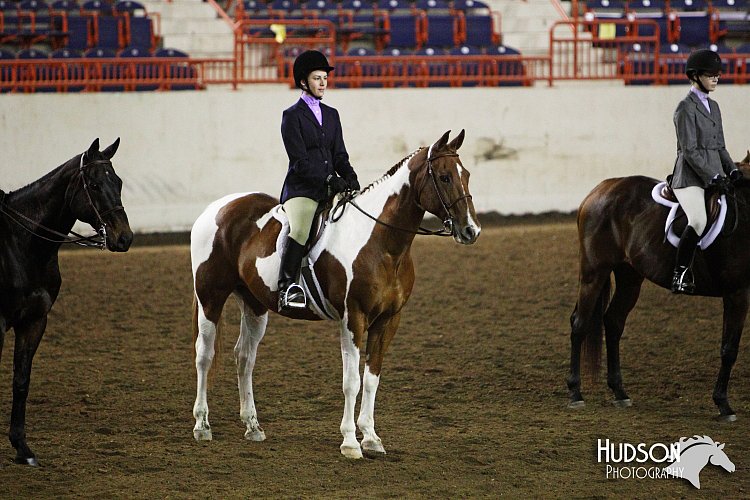 4H-State-SH-11_1145.JPG