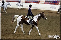 4H-State-SH-11_1129.JPG