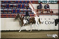 4H-State-SH-11_1131.JPG