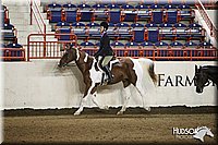 4H-State-SH-11_1132.JPG